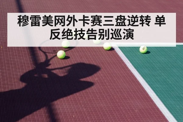 穆雷美网外卡赛三盘逆转 单反绝技告别巡演
